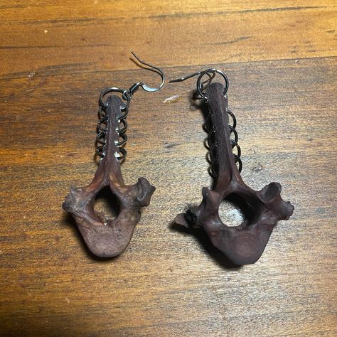 Real Dyed Coyote Vertebrae Bone Hoop Earrings - Ethically sourced - >> Available for purchase on Poshmark and Mercari. Check my bio for the links to them. << #goth #gothic #gothicstyle #gothicfashion #gothfashion #punkstyle #festivalfashion #grungestyle #grungefashion #bouquetofbones #poshmark #mercari #mercariseller #taxidermy #taxidermist #vultureculture #bones #oddities #oddity #animalbone #animalbones #animalbonejewelry #vulturecultureart #vultureculturejewelry #postapocalyptic #avantga... Animal Bone Jewelry, Punk Rock Grunge, Western Wild, Wild West Cowboys, Vulture Culture, Cowgirl Aesthetic, Bone Jewelry, Animal Bones, Nickel Free Earrings