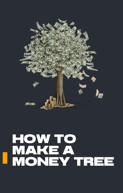 A money tree is a creative and meaningful way to give cash as a gift. Unlike a simple envelope or card, a money tree presents cash in a visually appealing and fun form, making it a memorable gift for birthdays, weddings, graduations, or holidays. Want to learn how to make a money tree? This guide will walk you through different ways to craft one, including the materials you’ll need, step-by-step instructions, and tips for adding a personal touch. Wedding Money Tree Ideas, Money Grows On Trees, How To Make A Money Tree, Money Tree Wedding, Money Tree Ideas, Money Tree Gift, Cash As A Gift, Simple Envelope, Creative Ways To Make Money