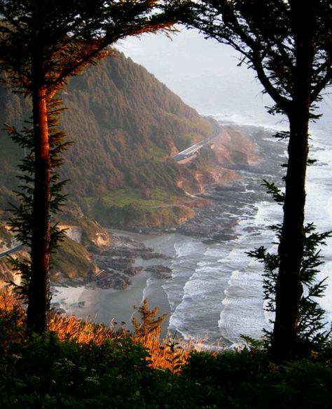 Oregon coast Oregon Sights, 숲 사진, Beautiful Entryways, Gods Creation, A Hill, Oregon Coast, Pretty Places, Narnia, The Coast