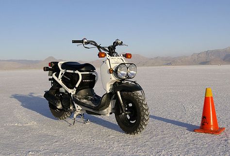 Honda Ruckus Off Road, Honda Zoomer, Modif Motor, 50cc Moped, Glamping Pods, Honda Scooters, Honda Ruckus, Moto Car, Mini Bikes