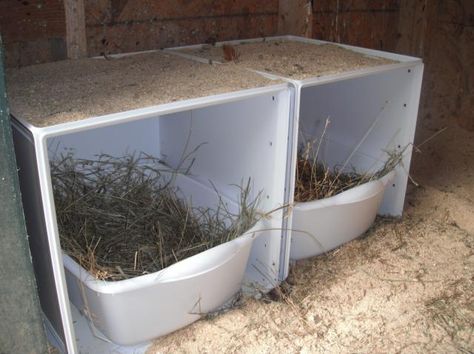 Nesting Boxes Ideas, Nesting Boxes For Chickens, Old Shelves, Plastic Storage Cubes, Homesteading Animals, Nest Boxes, Chicken Poop, Boxes Ideas, How To Raise Chickens