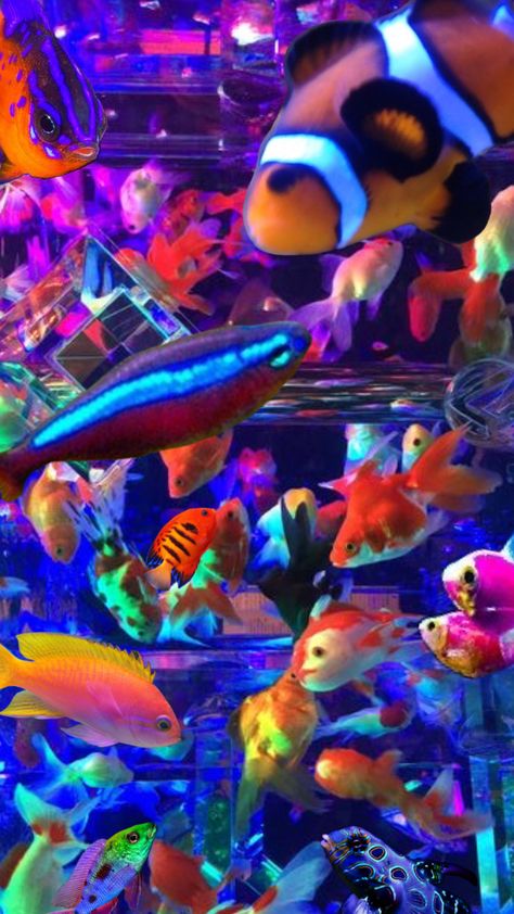 Neon Fish Drawing, Y2k Aquarium, Fish Core, Neon Fish Tank, Clownfish Aesthetic, Neon Aquarium, Fish Gif, Neon Fish, Underwater Fish Aesthetic