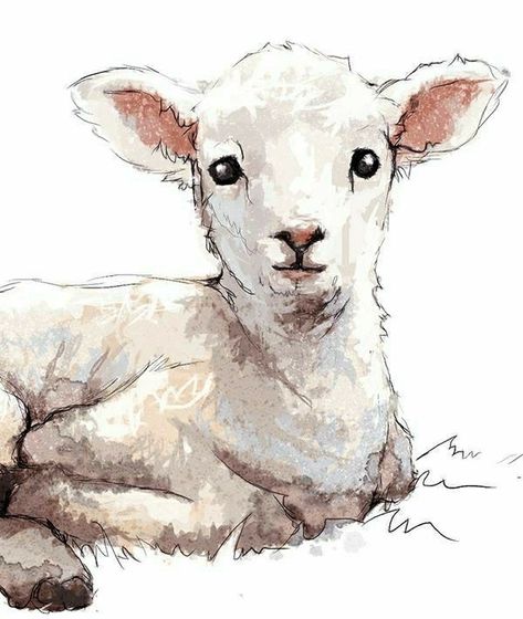 Farm Animal Nursery Art, Lamb Drawing, Sheep Drawing, Easter Paintings, Farm Animal Nursery, Eid Card Designs, Sheep Art, Childrens Wall Art, Abstract Art Wallpaper