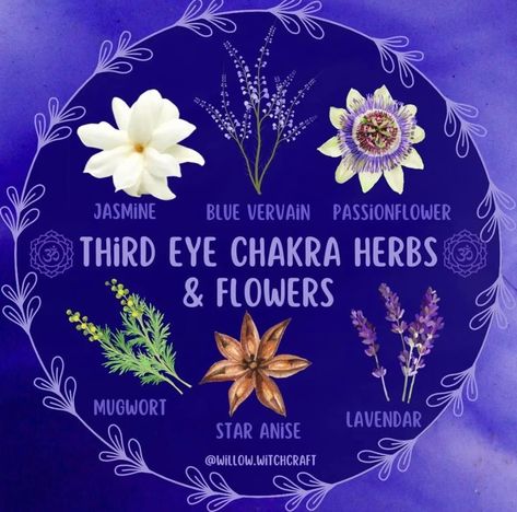 Witch Studying, Third Eye Crystals, Wild Dagga, 3rd Eye Chakra, Chakra Work, Peaceful Mind, Folk Magic, Magical Herbs, Vision Eye