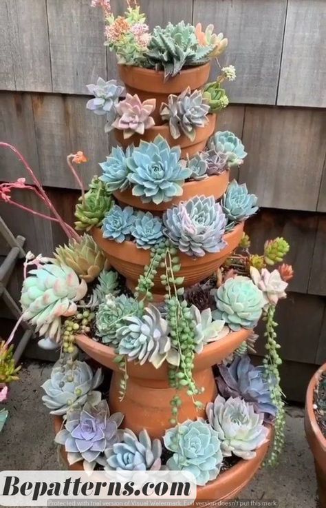 Garden Art | Free | Aesthetic | Crazy | Garden Projects | Cozy for Beginners | Tutorial Aesthetic Crazy, Succulent Garden Outdoor, Backyard Flowers Beds, Succulent Wall Garden, Succulent Garden Landscape, Raised Flower Beds, Succulent Garden Design, Potted Plants Outdoor, Free Aesthetic