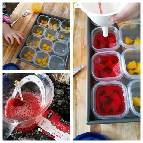 Diy Jello Cups, Diy Jello, Fruit Jello, Jello Fruit, Jello With Fruit, Jello Cups, Food Motivation, Work Lunches, Ready For School