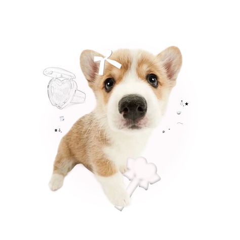 Dog Emoji, Dog Icon, Animal Icon, Adorable Puppy, Puppy Photos, Silly Dogs, Silly Animals, Dog Images, Dog Drawing