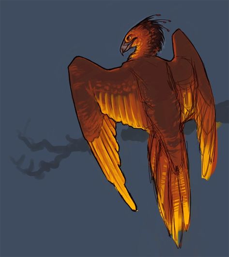 Phoenix Reference, Sunbird Illustration, Dragon Phoenix Hybrid, Phoenix Character Design, Phoenix Oc, Phoenix Aesthetic, Phoenix Artwork, Phoenix Images, Cute Moth