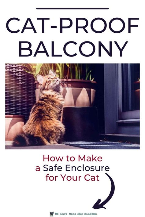 Cat Proof Decorations, Cat Proof Balcony Apartments, Kitten Proofing Home, Cat Protection Balcony, Cat Safe Balcony, Cat Proof Balcony, Cat Health Remedies, Senior Cat Care, Kitty Ideas