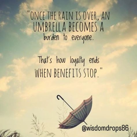 "Once the rain is over, an umbrella becomes a burden to everyone. That's how loyalty ends when benefits stop." ❤️ #wisdomdrops86 #wisdomquotes #motivation #inspirational #happiness #mindfulness #successquotes #winning #budha #rumy A Burden, Wisdom Quotes, Picture Quotes, Success Quotes, The Rain, Umbrella, How To Become, Mindfulness, Benefits