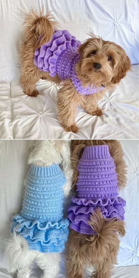 Dog Jumper Pattern, Crochet Dog Sweater Free Pattern, Kat Haken, Dog Dress Pattern, Crochet Dog Clothes, Dog Coat Pattern, Dog Sweater Crochet Pattern, Dog Sweater Pattern, Crochet Dog Patterns