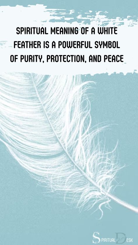 The spiritual meaning of a white feather is a powerful symbol of purity, protection, and peace. It is believed to be a sign from the angels or the spirit world, indicating that your guardian angel or a departed loved one is watching over you and offering guidance. #instalove #offer #offering #watching #luv #loved #believe White Feather Meaning, Meaning Of Feathers, Feather Symbolism, Feather Meaning, Angel Guidance, Inner Guidance, Your Guardian Angel, Falling From The Sky, Spirit World