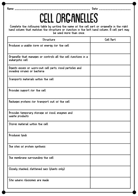 Biology Cell Organelles Worksheet Cell Worksheets, Plant Cell Labeled, Biology Cell, Biology Teaching, Classroom 2023, Human Body Worksheets, Reference Template, Animal Cells, Cells Worksheet