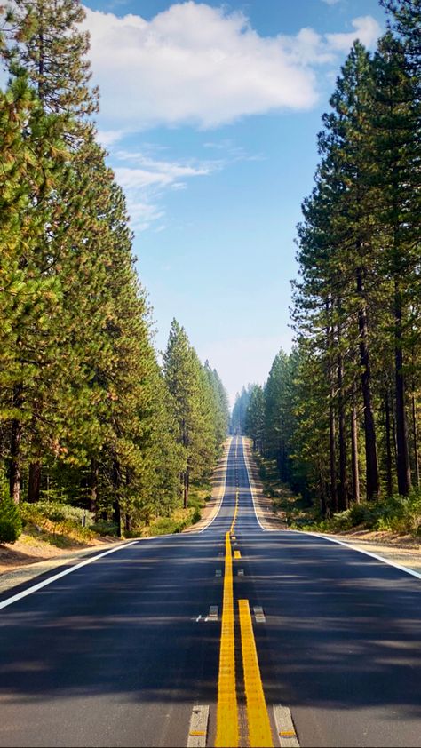 Nature Photography Trees, Road Photography, Beautiful Roads, Scenic Roads, Amazing Nature Photos, Beautiful Images Nature, Beautiful Nature Wallpaper, Beautiful Scenery Nature, Rent A Car