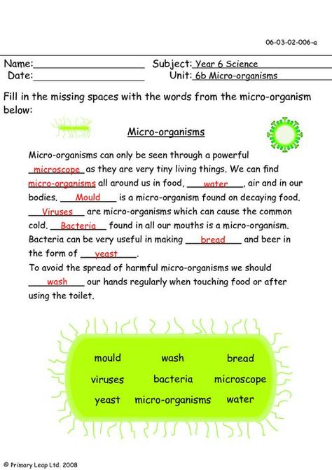 PrimaryLeap.co.uk - Micro-organisms Worksheet Microbiology Worksheets, Hygiene Lessons, Learn Reading, Cells Worksheet, Eagle Project, Micro Organisms, Biology Worksheet, Light Science, Brain Facts