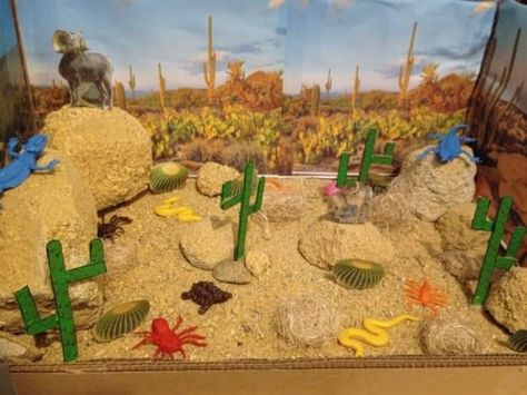 Landforms #project #schoolproject #scienceexbhition😍❤️😘 #class #decoration #ib #ideas ##creativity #teachersofinstagram #school Desert Diarama Ideas, Desert Habitat Diorama, Snake Diorama Project, Desert Habitat Project, Desert Diorama Projects, Desert Project For School, Desert Habitat Projects For Kids, Desert Biome Project Ideas, Desert Ecosystem Project