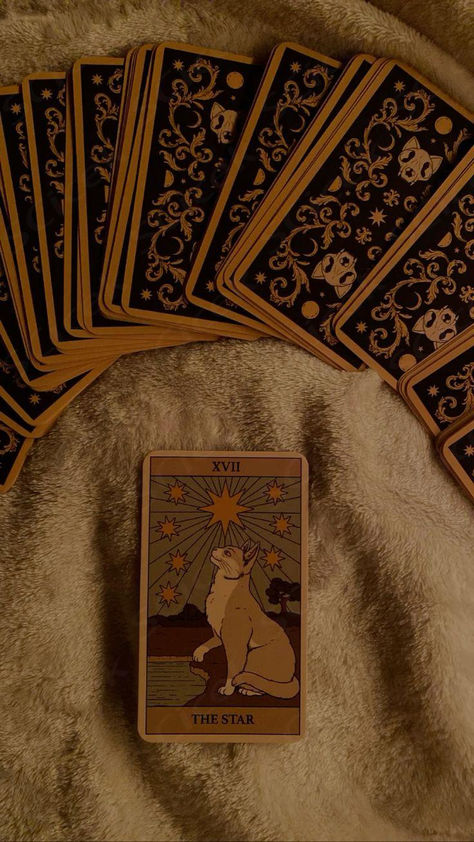 #tarot #cat #manifestation #tarotreading #aesthetic #spiritual #spirituality #cards Magic Cards Aesthetic, Witch Tarot Aesthetic, Tarot Cards Aesthetic Vintage, Tarot Aesthetic Dark, Tarot Reader Aesthetic, Oracle Aesthetic, Tarot Deck Aesthetic, Tarot Cards Decks, Aesthetic Tarot Cards