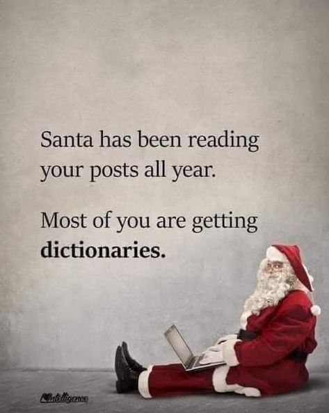 Sarcastic Christmas, Christmas Memes, Christmas Jokes, Holiday Humor, Christmas Quotes, Sarcastic Quotes, Best Funny Pictures, Bones Funny, Christmas Humor