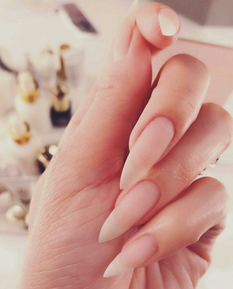 Long Natural Nails Painted, Natural Nails Painted, Stiletto Nail Designs, Matte Stiletto Nails, Made Of Stardust, Stiletto Nails Short, Nails Painted, Long Almond Nails, The Trend Spotter