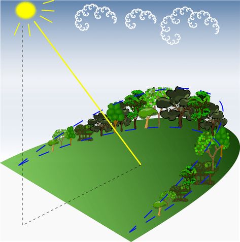 How to capture the maximum sun and block the maximum wind for a warm microclimate in your garden Garden Microclimate, Backyard Play Spaces, Food Forest Garden, Urban Heat Island, Grow Food, Property Design, Fall Garden, Food Forest, Forest Garden