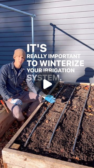 Seattle Urban Farm Co | Garden Creators on Instagram: "Winterizing drip systems with poly header and drip tape takes about 3 minutes, and zero special tools 😊💧. This is how we do it! . . . #dripirrigation #dripirrigationsystem #wintergarden" Drip Tape, Drip System, Urban Farm, Drip Irrigation System, Drip Irrigation, Urban Farming, Irrigation System, Winter Garden, Secret Garden