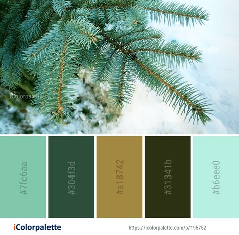 Color Palette ideas from 22304 Image Images | iColorpalette Homestead Inspiration, Color Palette Ideas, Sports Fonts, Tree Winter, Palette Ideas, Palette Inspiration, Spruce Tree, Colour Inspiration, Biome