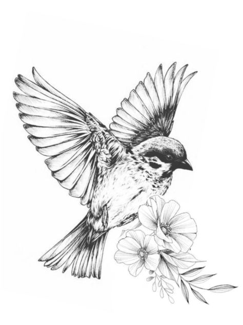 Bird And Flower Drawing, Bird Art Drawing, Tattoo Line Art, Vogel Tattoo, Sparrow Tattoo, Kunst Tattoos, Drawing Hands, Bird Sketch, Tattoo Pen