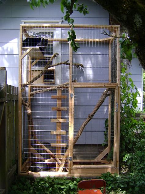 A roundup of wire-screened "catio" structures, from simple to quite fancy. Outdoor Cat Run, Catio Plans, Diy Cat Enclosure, Katt Diy, Cat House Plans, Outdoor Cat Shelter, Katt Grejer, Chat Diy, Kat Diy