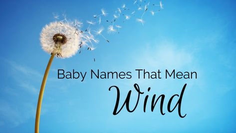 If you have a wandering spirit that travels wherever the day takes you, perhaps you envision the same for your little one. If that's the case, you may want to consider an option from this list of baby names that mean wind. From Coro to Aruth to Makani and beyond, each name here is unique and inspiring. Take a look! #babynames #boynames #girlnames Names That Mean Wind, Polynesian Names, Z Baby Names, Norse Names, Scottish Names, Boy Name Meanings, Feminine Names, Rare Names, Middle Names For Girls