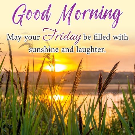 Fantastic Friday Morning Wishes, Images And Gifs Fantastic Friday Quotes, Good Morning Friday Wishes, Friday Morning Greetings, Friday Good Morning, Good Morning Friday Images, Fantastic Friday, Friday Morning Quotes, Friday Wishes, Week Quotes