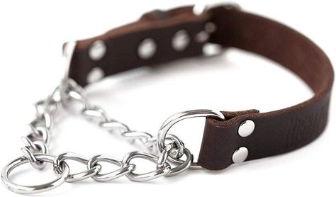 MIGHTY PAW Leather Martingale Dog Collar, Small - Chewy.com Prong Collar, Martingale Dog Collar, Dog Store, Training Collar, Martingale Collar, Brown Dog, Choker Collar, Leather Collar, Collar And Leash