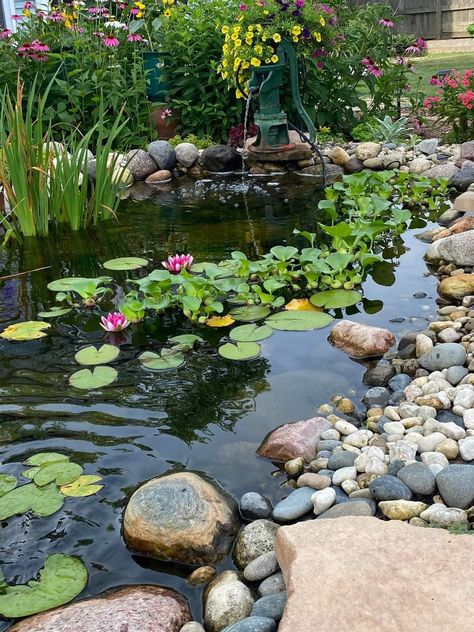 Backyard Stream, Ponds For Small Gardens, Fish Pond Gardens, Natural Swimming Ponds, Garden Pond Design, Diy Pond, Pond Landscaping, Natural Pond, Lotus Pond