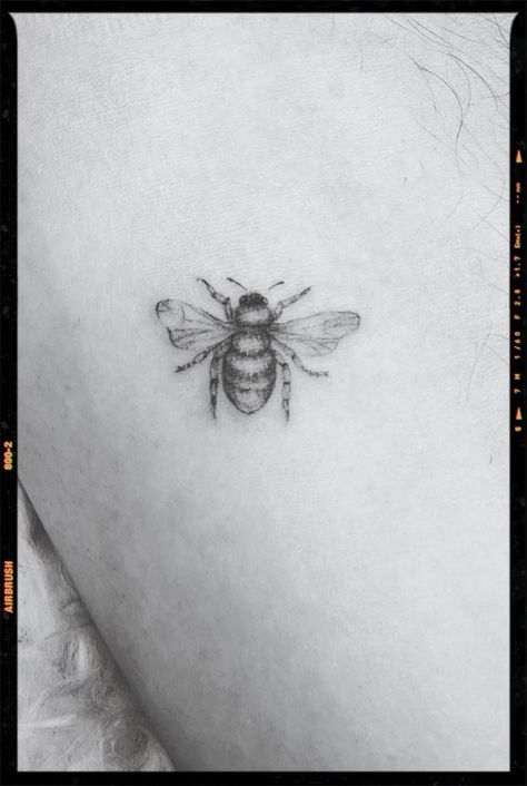 Fluffy Bee Tattoo, Honey Bee Tattoo Ideas, Fluffy Bee, Honey Tattoo, Bee Tattoo Ideas, Small Bee Tattoo, Honey Bee Tattoo, Tattoos Inspo, Insect Tattoo