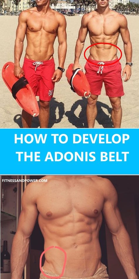 Adonis Belt Men, Adonis Belt Workout, Starting Workout, Adonis Belt, Skills List, Cable Workout, List Of Skills, Muscle Tissue, Men's Muscle