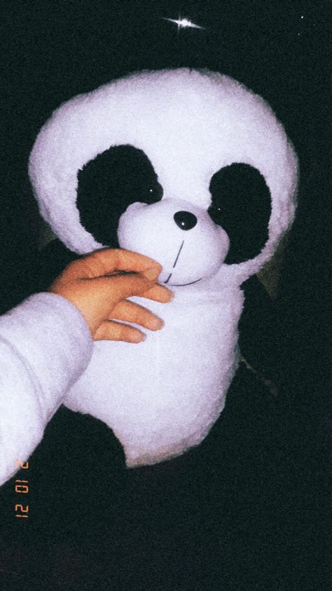 Panda Teddy