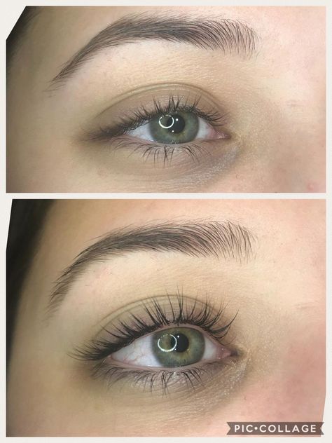 Lash lift and tint Lash Lift Styles, Natural Lash Lift And Tint, Lash Lift Natural, Eye Lash Tint, Last Lift And Tint, Very Natural Eyelash Extensions, Lash Lift And Tint Before And After, Lashes 1:1, Tinted Eyelashes