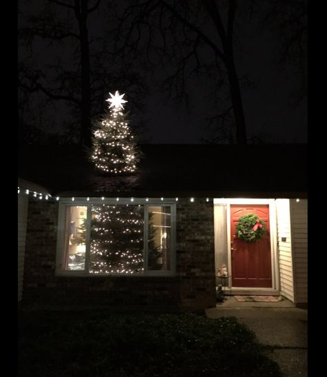 Buying a large Xmas tree -- cut in half and put one part on the roof. Christmas Tree Through Roof, Colorado Christmas Tree, Christmas Tree Store, Rockefeller Center Christmas Tree, Big Christmas Tree, Christmas Tree Storage, Christmas Tree Tops, Black Christmas Trees, Tree Top