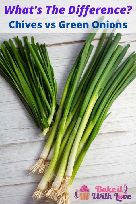 Fresh green onions and chives side by side for comparison. How To Store Chives, Text Header, Chives Recipe, Cold Dishes, Food Favorites, Fresh Chives, Most Popular Recipes, White Onion, Leafy Greens