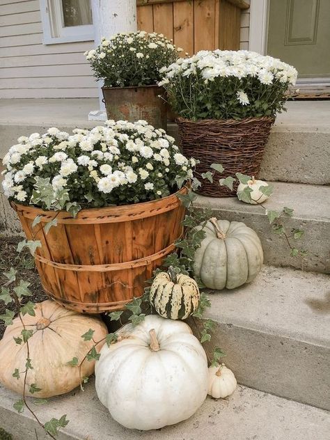 Pumpkin Arrangements, Fall Front Porch Decor, Diy Outdoor Decor, Fall Front Porch, Fall Outdoor Decor, Farmhouse Fall Decor, House With Porch, Front Porch Decorating, Fall Decorations Porch