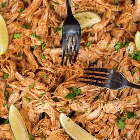 Mexican shredded chicken - Eating on a Dime Healthy Shredded Chicken, Healthy Shredded Chicken Recipes, White Cheese Dip Recipe, Easy Skillet Chicken, Mexican Shredded Chicken, Shredded Chicken Tacos, Mexican Chicken Recipes, Mexican Dinner Recipes, Eating On A Dime