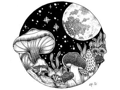 Magic Mushrooms Black Ink Art, Mushroom Tattoos, Space Drawings, Mushroom Drawing, White Drawing, Edgy Wallpaper, Arte Inspo, Mushroom Art, Ink Illustrations