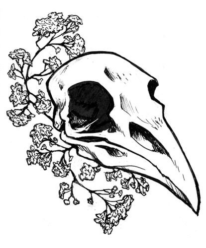 Animal Skull Drawing, Bird Skull Tattoo, Tumblr Drawings, Raven Tattoo, Raven Skull, Bird Skull, Desenho Tattoo, Skull Drawing, Animal Skulls