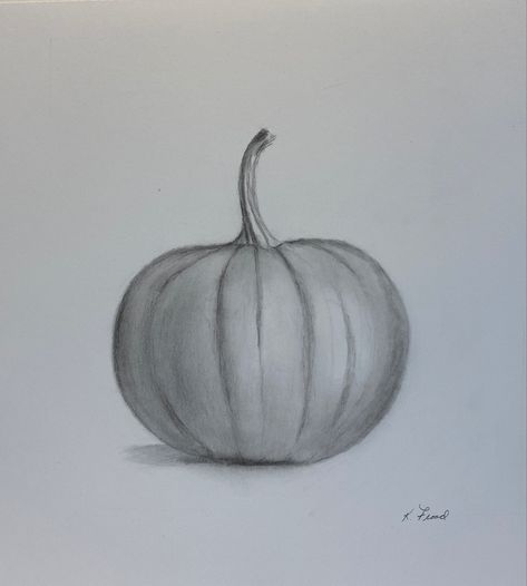 10 x 10 Drawing of a pumpkin, fall art, black and white, halloween, fall decor - email kathyflood@mac.com to purchase Drawing Of A Pumpkin, Pumpkin Paintings, Black And White Halloween, Fall Drawings, Pumpkin Drawing, Fall Mood, White Halloween, Charcoal Drawings, Pencil Shading