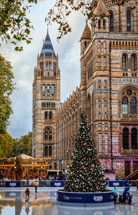 Museum Of Natural History London, London Cristhmas Aesthetic, West London Aesthetic, London Christmas Wallpaper, London Christmas Aesthetic, Food Bucket List, Christmas In London, Natural History Museum London, London In December