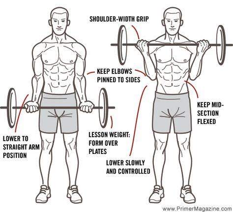 Proper Bicep Curl Form, Bicep Curl Form, Workout Routine Plan, Study Info, Chest Workout Routine, Biceps And Triceps, Celebrity Workout, Any Question, Strong Muscles