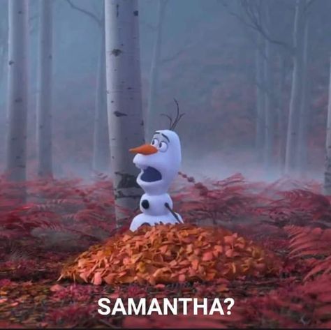 Frozen 2 ❄ on Twitter: "Olaf: Anna? Elsa? Sven? Kristoff? Samantha? HAHAHA I don't even know who's Samantha.… " Olaf Funny, Frozen Memes, Disney Princess Memes, Disney Olaf, Frozen Wallpaper, Funny Disney Memes, Disney Frozen Olaf, Funny Disney Jokes, Disney Phone Wallpaper