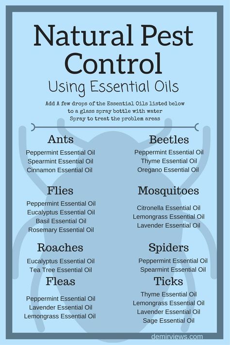 Essential Oils Ants, Bug Spray Recipe, Oregano Essential Oil, Thyme Essential Oil, Spearmint Essential Oil, Cinnamon Essential Oil, Natural Pest Control, Using Essential Oils, Household Cleaning Tips