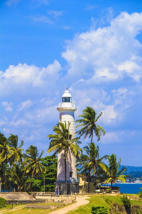 Step back in time in #Galle, Sri Lanka. Wander the Dutch-colonial streets of the Fort, soak up views from the old lighthouse, and shop for local gems in artisan boutiques. A coastal enclave with stories whispered by the Indian Ocean breeze. 🇱🇰🌊 #Travel #SriLankanSecrets #GalleGetaway Galle Fort Sri Lanka, Galle Fort, Galle Sri Lanka, Dutch Colonial, Ocean Breeze, Back In Time, Indian Ocean, Sri Lanka, Fort