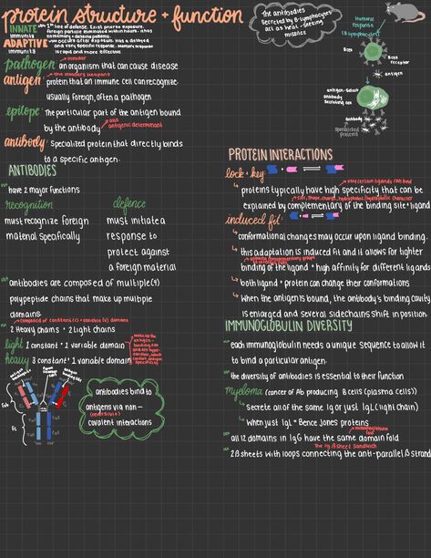 Bio Chemistry, Protein Structure, Digital Notes, Structure And Function, Study Tips College, Biochemistry, Biotechnology, Microbiology, School Motivation