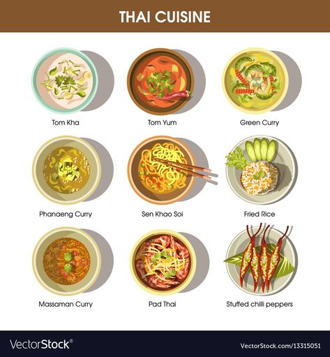 Thai cuisine poster with traditional dishes on Vector Image Food Thai, Around The World Food, Tom Yum, Food Infographic, Potted Beef, Thailand Food, Traditional Dishes, Thai Cooking, Food Poster Design